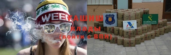 гидра Горнозаводск